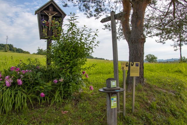 2024_05_28 Bučka - Mlinarjeva oit - foto
