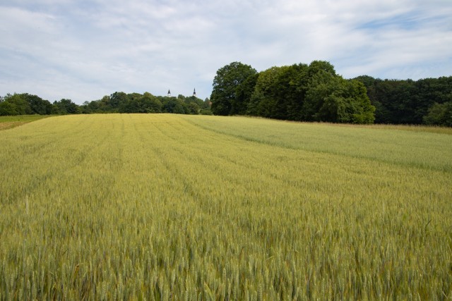 2024_05_28 Bučka - Mlinarjeva oit - foto