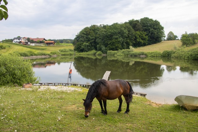 2024_05_28 Bučka - Mlinarjeva oit - foto
