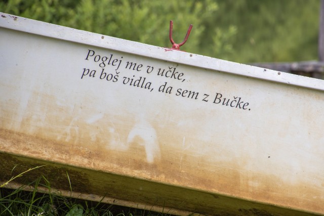 2024_05_28 Bučka - Mlinarjeva oit - foto