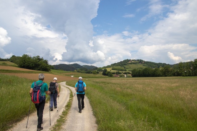 2024_05_28 Bučka - Mlinarjeva oit - foto
