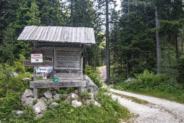 2024_06_22 Lastovec - Molička planina - foto