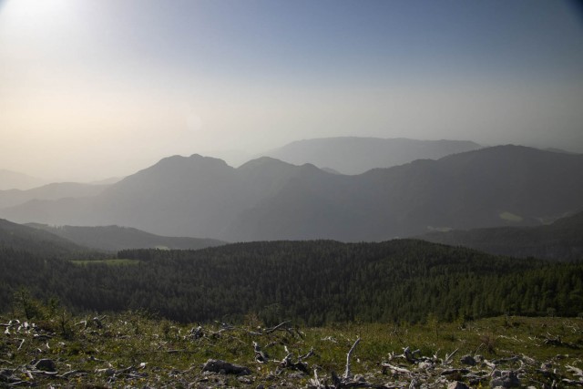 2024_06_22 Lastovec - Molička planina - foto