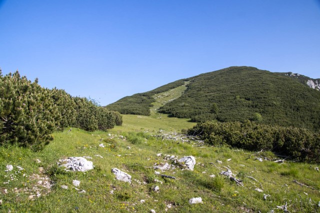 2024_06_22 Lastovec - Molička planina - foto