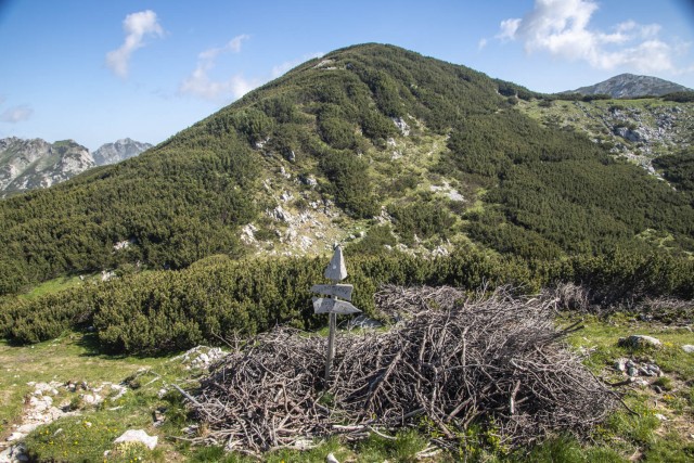 2024_06_22 Lastovec - Molička planina - foto