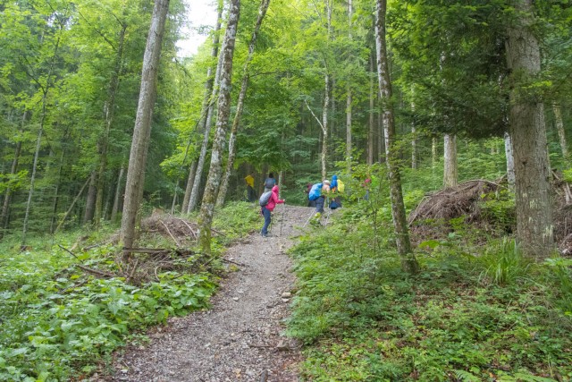 2024_06_25 Livoldski vrh - Požgani hrib  - foto