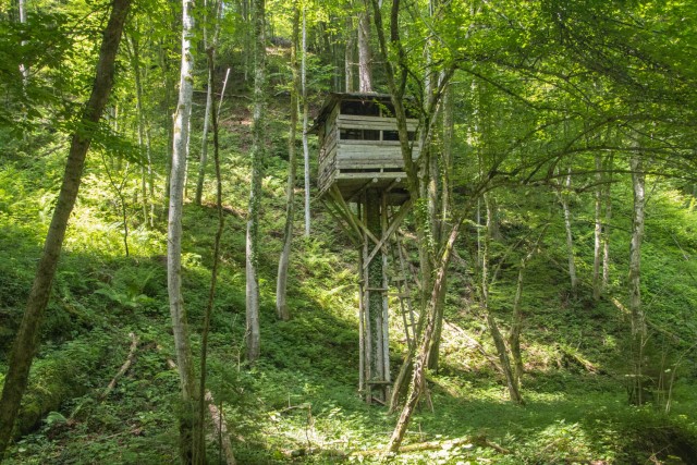 2024_07_07 Višnja gora - pot dveh slapov - foto