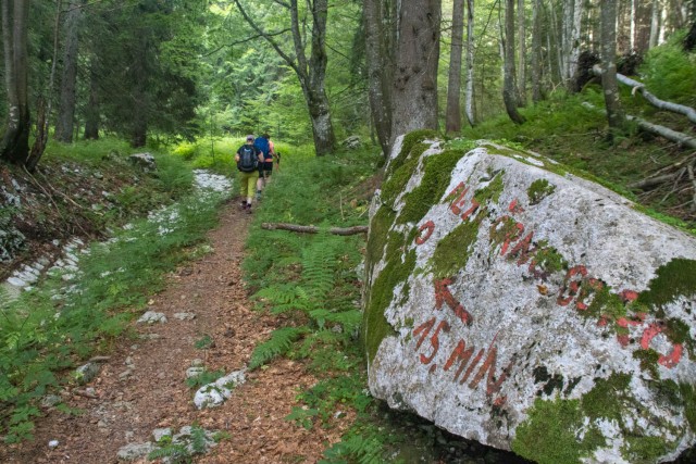 2024_07_14 Črna prst ( 1844 m )  - foto