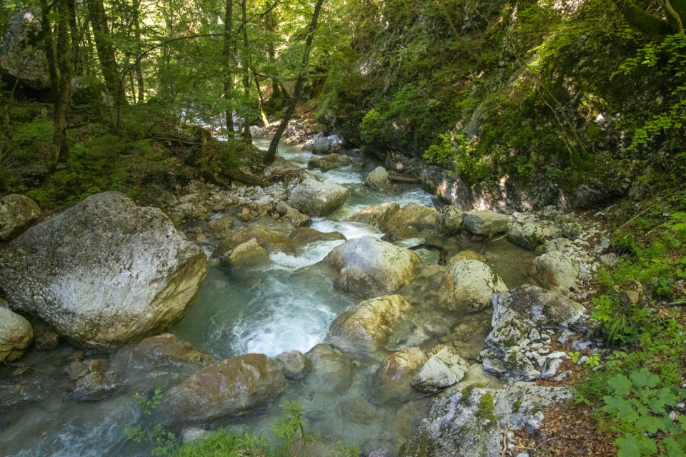 2024_07_23 soteska Čepa - foto povečava