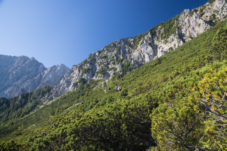 2024_08_13 Kozjak / Ovčji vrh ( 2024 m ) - foto povečava