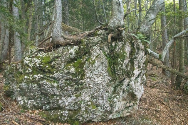 2024_09_03 Krofička ( 2083 m ) - foto