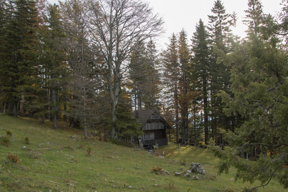 2024_10_13 Goli vrh in Vivodnik / Menina - foto povečava