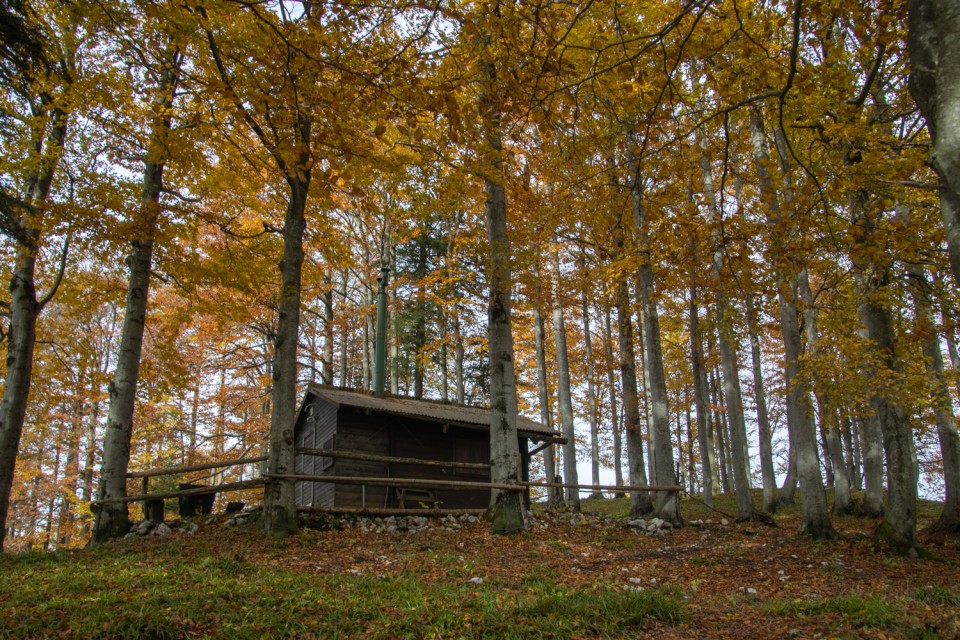 2024_10_13 Goli vrh in Vivodnik / Menina - foto povečava