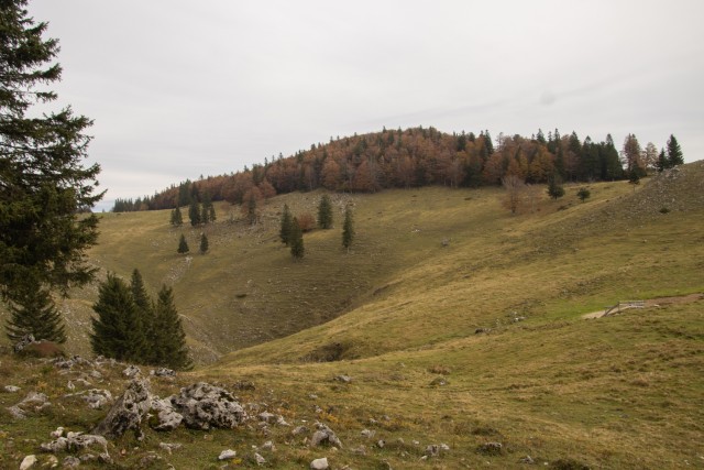 2024_10_13 Goli vrh in Vivodnik / Menina - foto