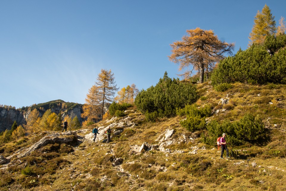 2024_10_15 Jezerski Stog ( 2040 m ) - foto povečava