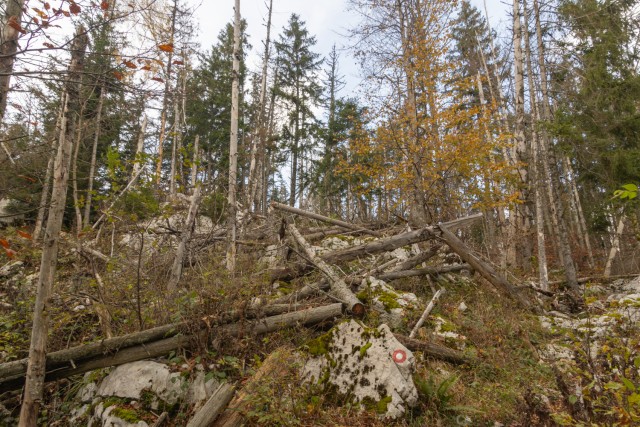 2024_10_26 Fridrihštajn in Mestni vrh  - foto