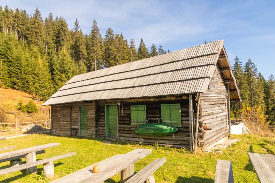2024_11_05 Boskovec in Smrekovec - foto povečava