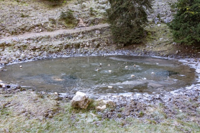 2024_11_12 Prvi , Srednji in Zadnji Vogel  - foto