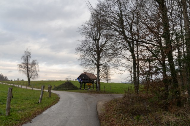 2024_11_26 po Lavričevi poti na Gradišče - foto