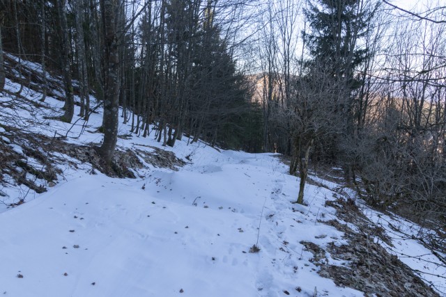 2024_12_29 Javor (1133 m) in Partizanski vrh - foto