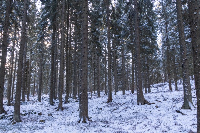 2025_01_04 Uršlja gora ( 1699 m ) - foto