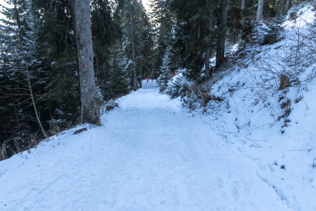 2025_01_04 Uršlja gora ( 1699 m ) - foto