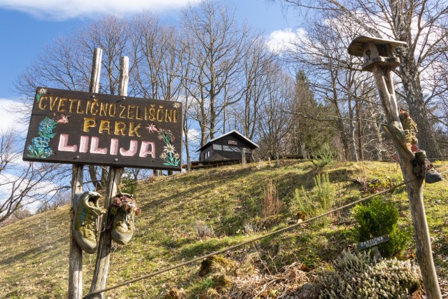 2025_03_11 Srebotnik - Tolsti vrh - Grmada - foto