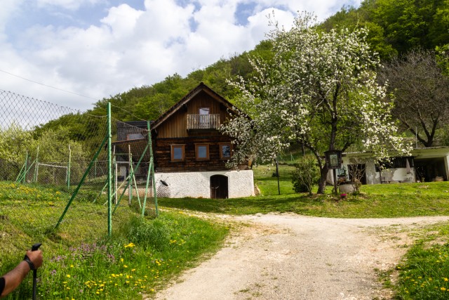 2025_04_22 Veliko Kozje in Lovrenc - foto
