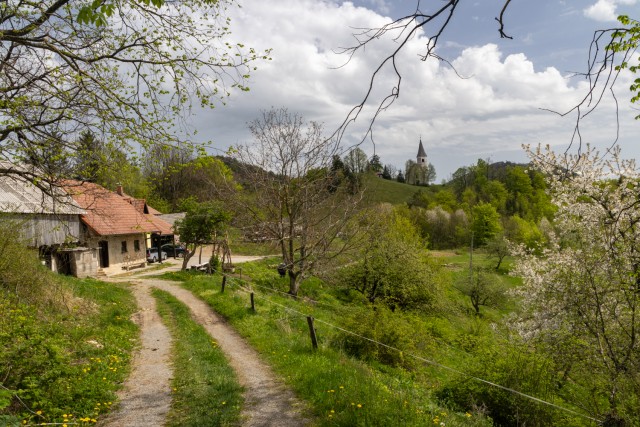 2025_04_22 Veliko Kozje in Lovrenc - foto