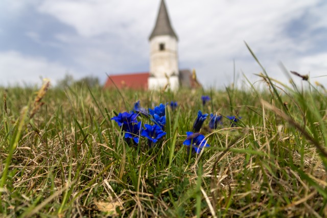 2025_04_22 Veliko Kozje in Lovrenc - foto