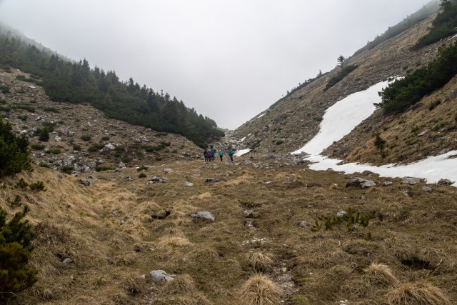 2025_04_29 Mali Grintovec ( 1813 m ) - foto
