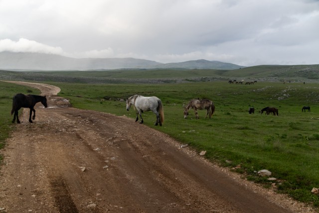 2025_05_12 Bosna 1. dan Sevnica - Livno - foto