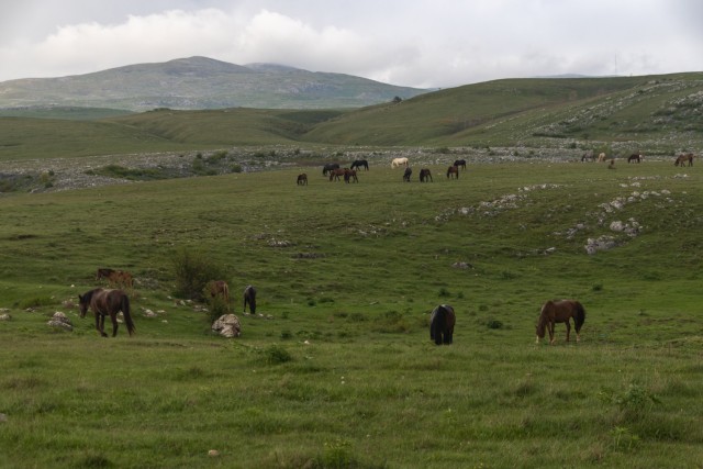 2025_05_12 Bosna 1. dan Sevnica - Livno - foto