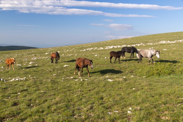 2025_05_13 Bosna 2. dan Livno - Kupres - foto