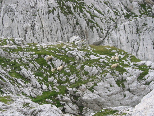 Triglav avgust 2004 - foto povečava