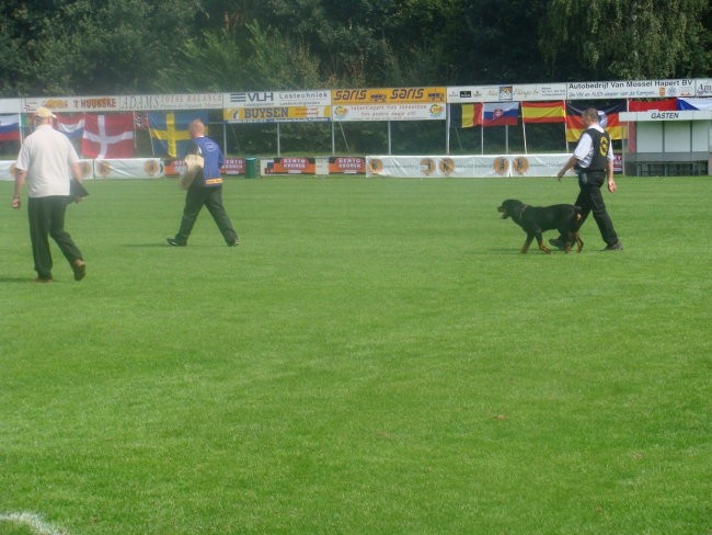 IFR 2008 - foto povečava