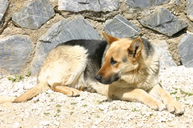 Izlet v savinjsko dolino PGD Šmarca 2 - foto