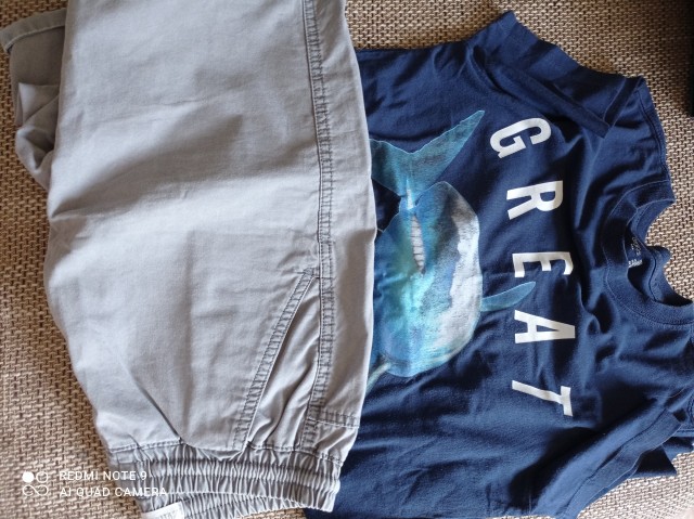 Sv. sive bermude Zara in majica GAP z morskim psom