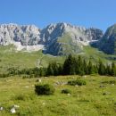 Montaz nad planino Pecol
