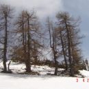 cakajoci