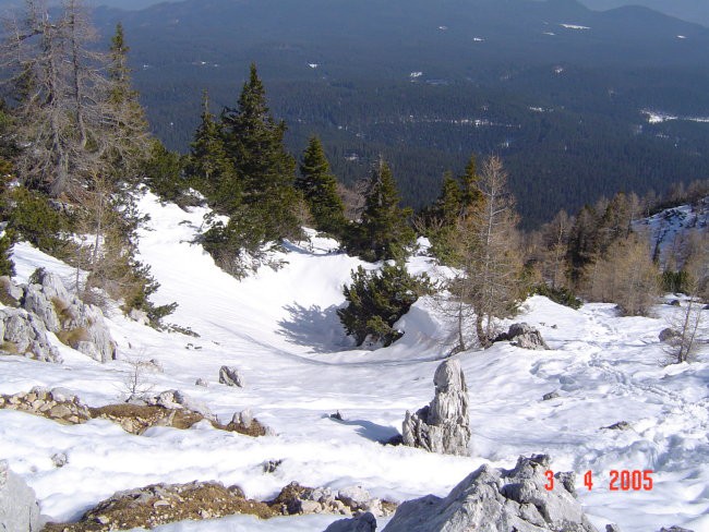 nazaj domov