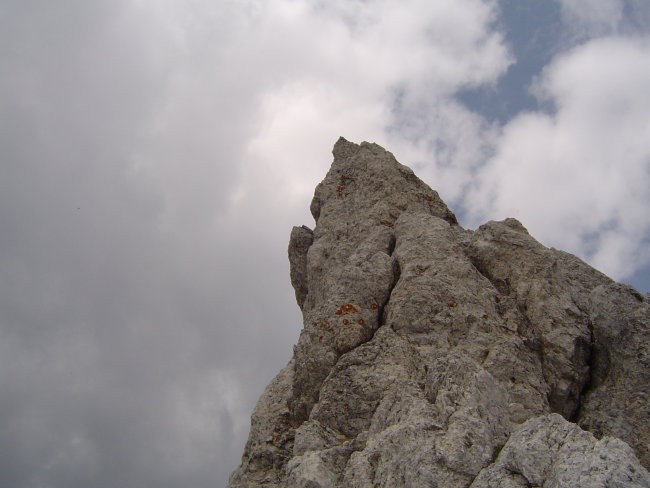 kipenje proti nebu