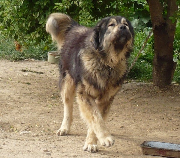 RAZNO - foto