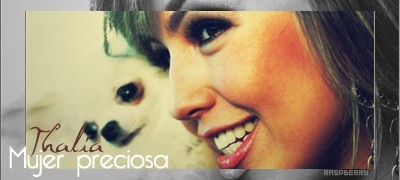 Estrellas Latino - foto povečava