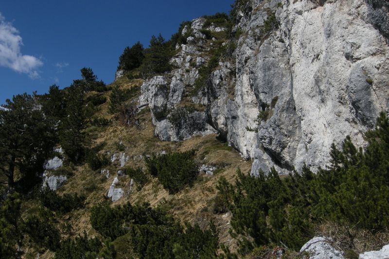 Prečenje po travah pod spodmoli