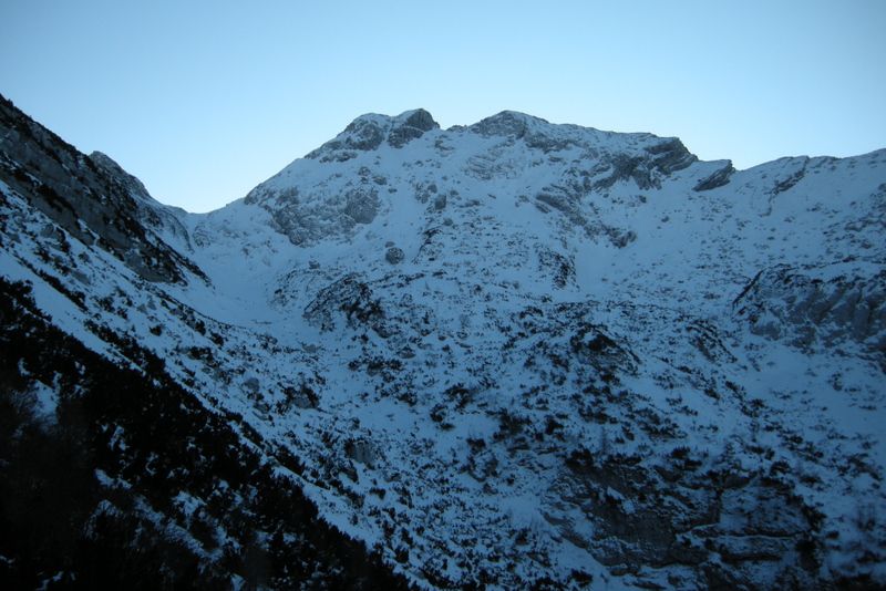 Lopič s severa