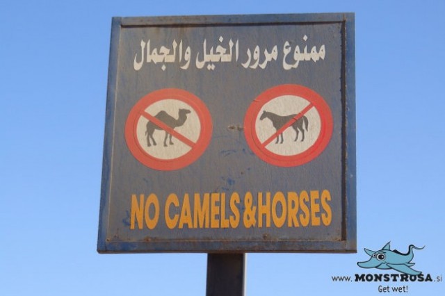 2006 Sharm El Sheik - foto