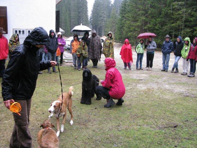 Pan - foto povečava