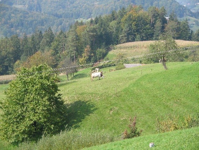 NASELJE HRAMŠE V OBČINI ŽALEC - foto povečava