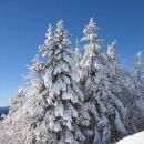 zimska pravljica
